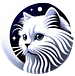 Cat Cognition #catcog