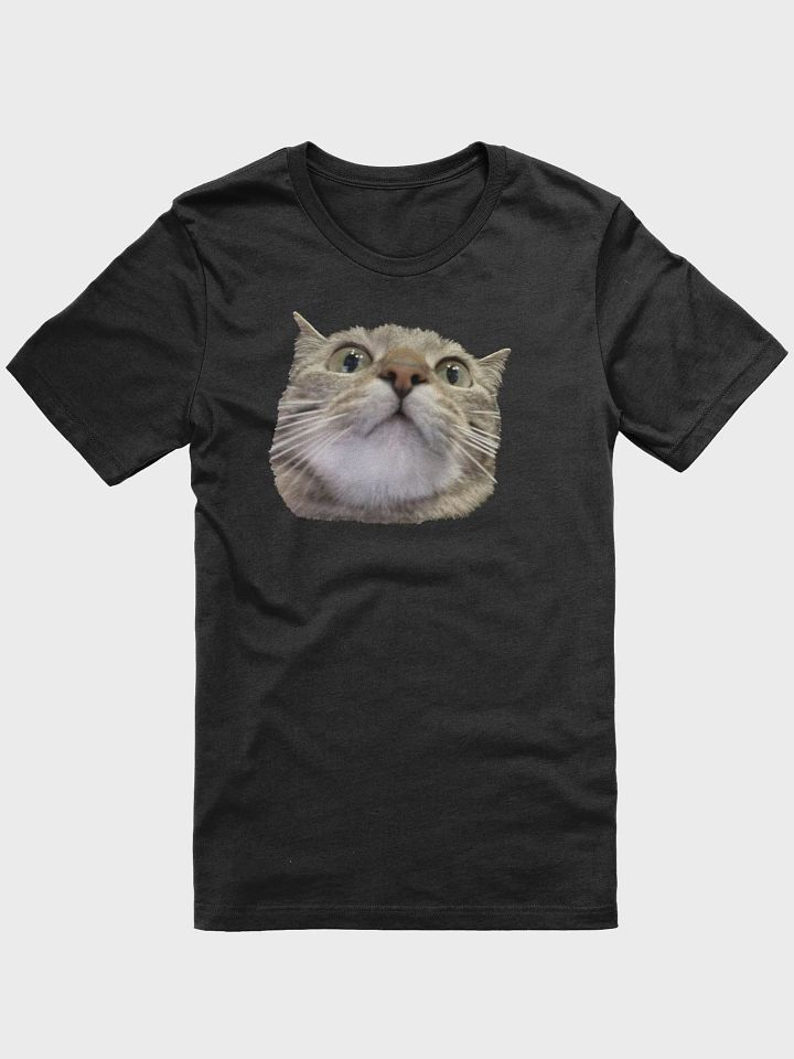 Bea Shirt product image (1)