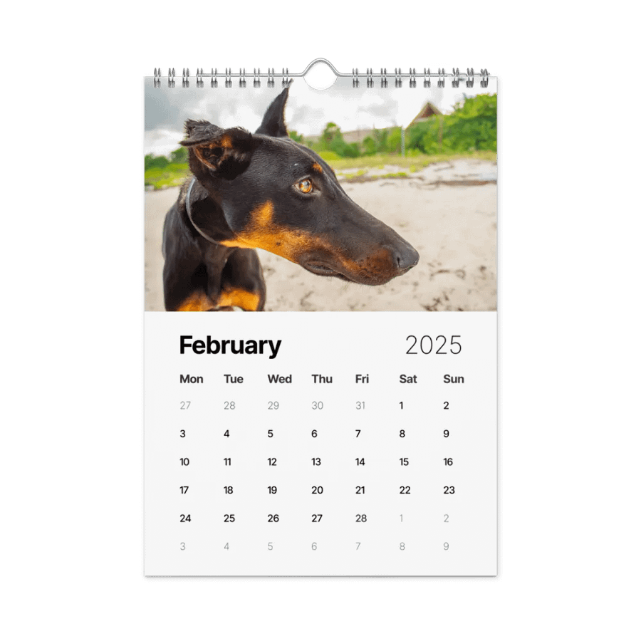 The first year - 2025 Calendar product image (3)