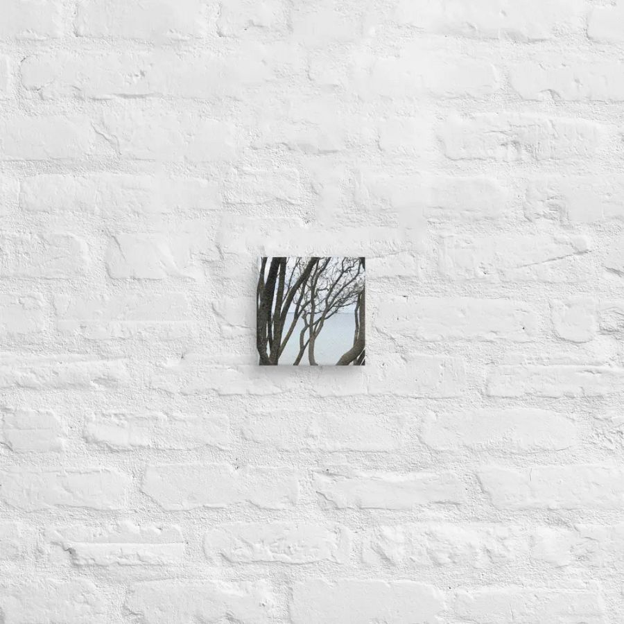 Winding Branches Canvas product image (2)