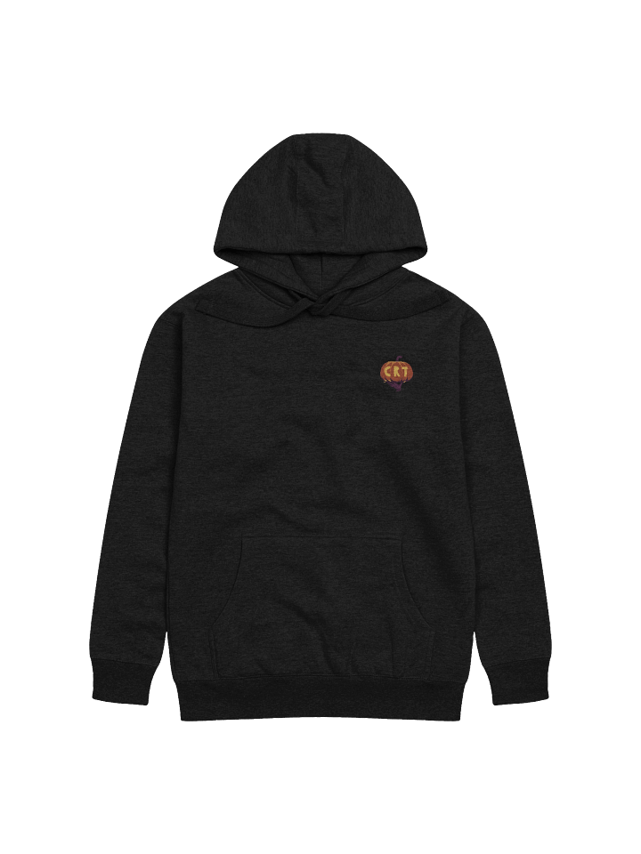 Charity Raid Train Hoodie product image (3)