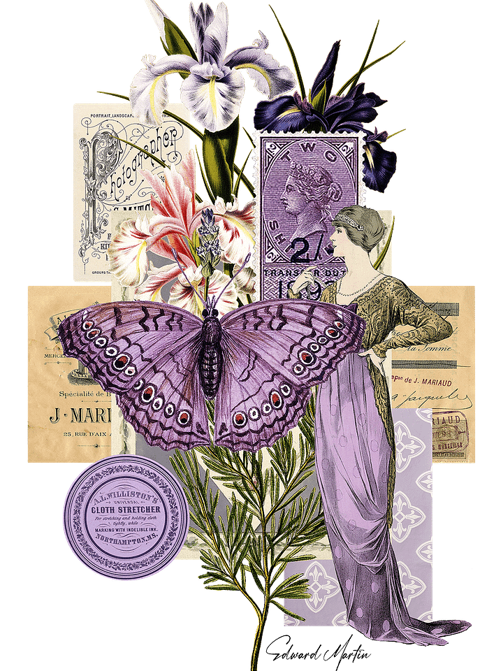 Collage in Lavender by Edward Martin product image (1)