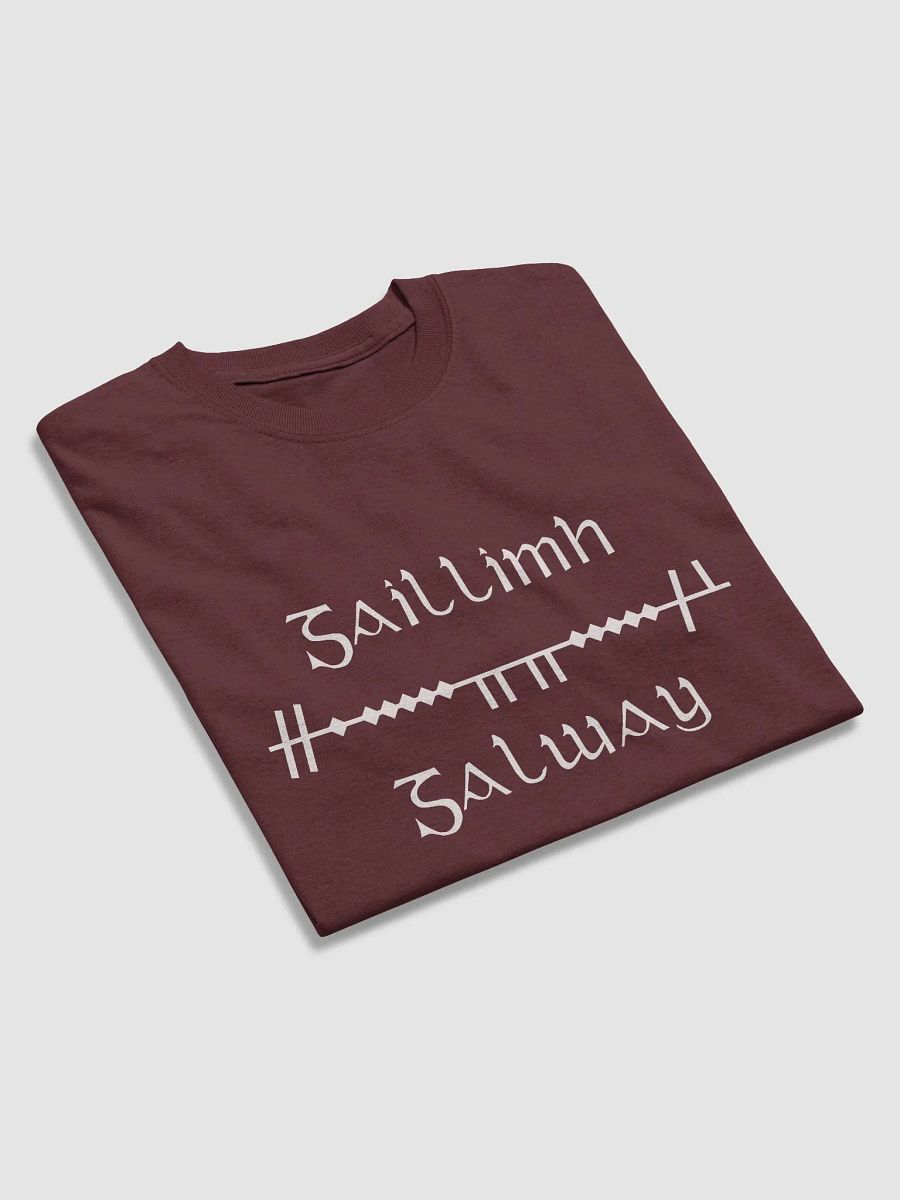 Galway/Gaillimh Scholastic style Ogham Maroon printed T-shirt product image (3)