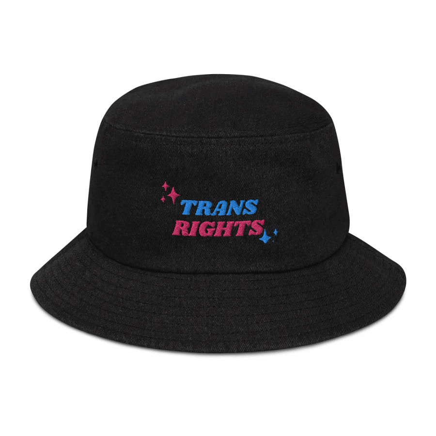 Trans Rights Hat product image (1)