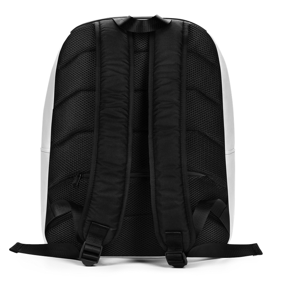 Being TRue Back Pack product image (5)