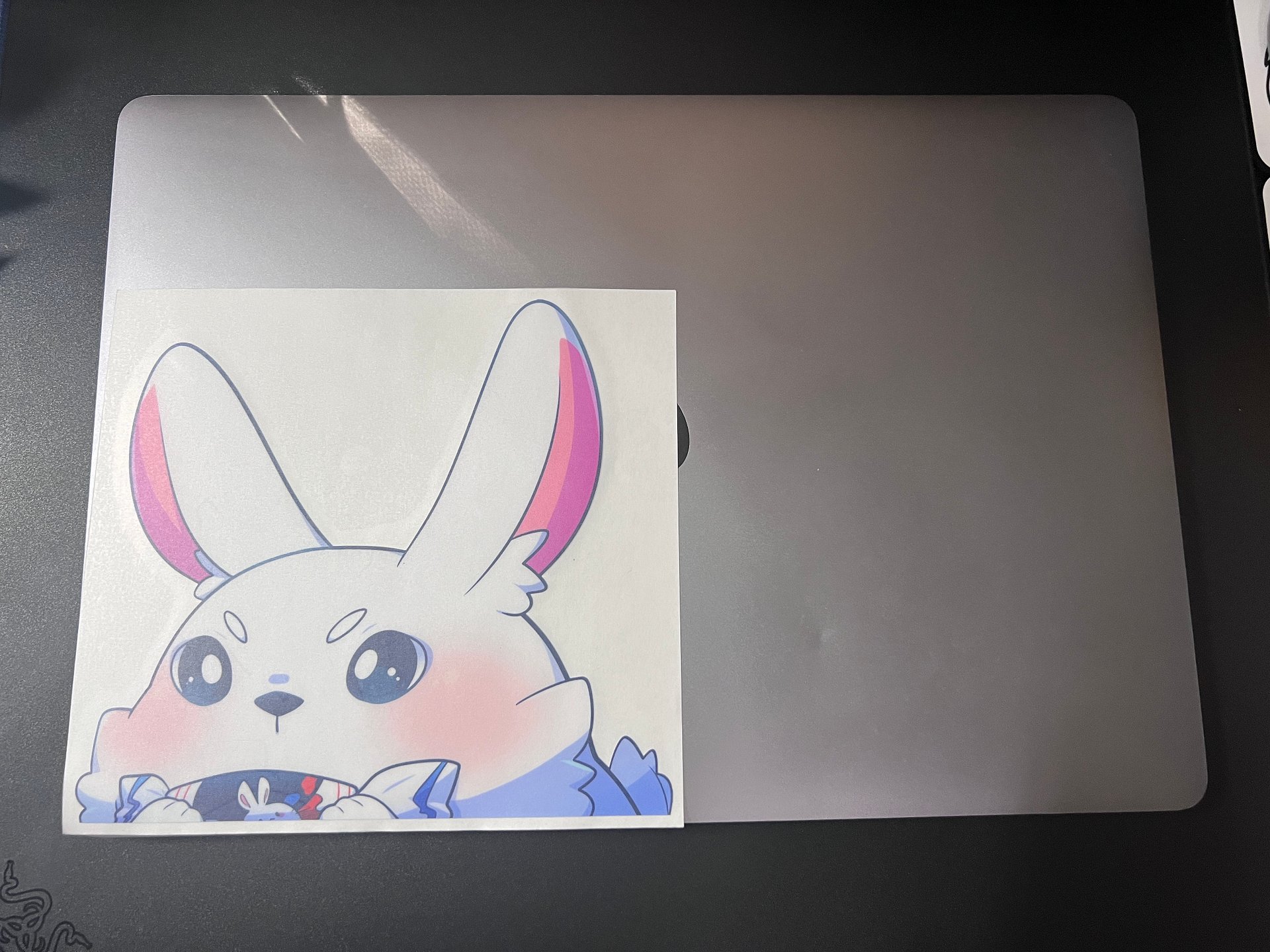 Zodiac Peekers Set product image (8)