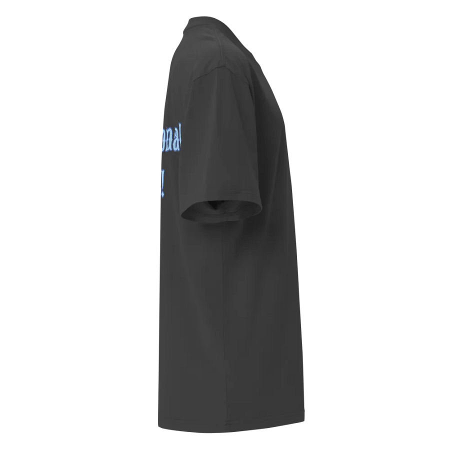 Professional Idiot Oversized T-Shirt product image (11)