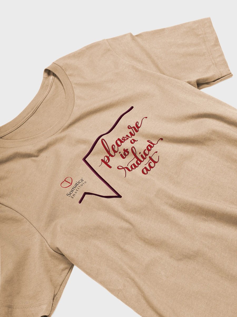 Pleasure is a radical act T-Shirt product image (3)