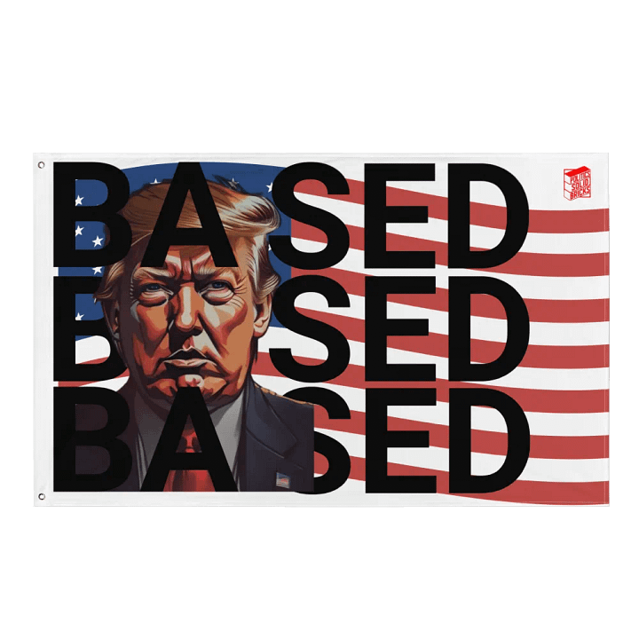 BASED American Flag Mugshot ~Flag~ product image (1)