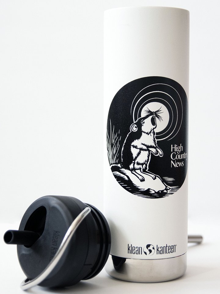 20 oz Klean Kanteen Straw Water Bottle product image (2)