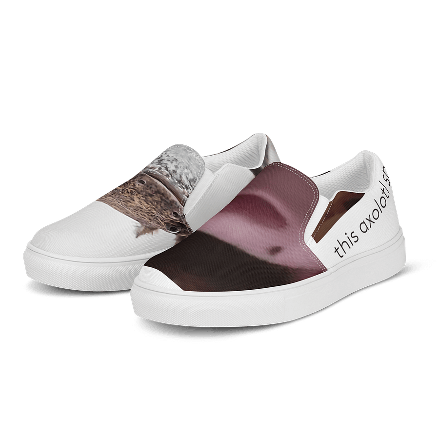 funny shoes product image (3)