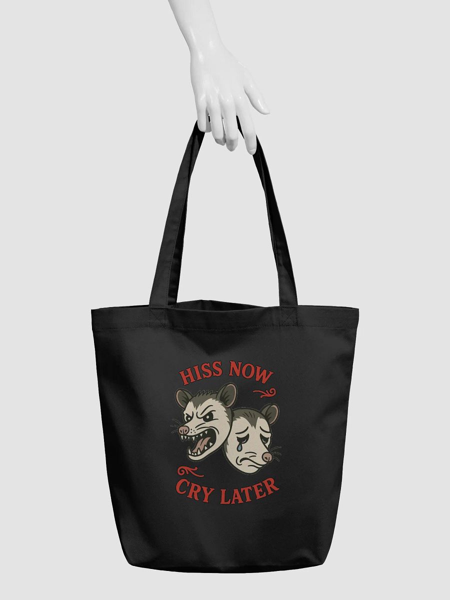 Hiss Now Cry Later product image (5)