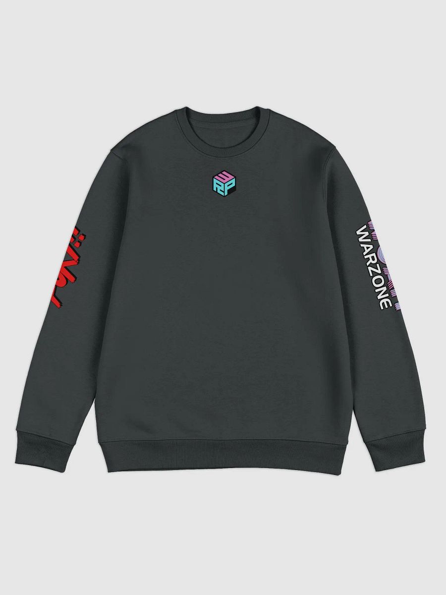 RPW Brand Logos on Arms Hoodie product image (2)