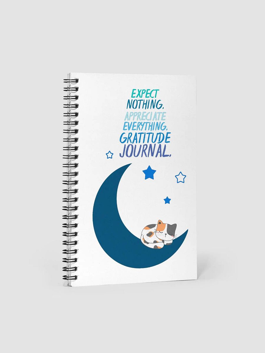 Dreamy Cat Crescent Moon Spiral Gratitude Journal Notebook product image (1)