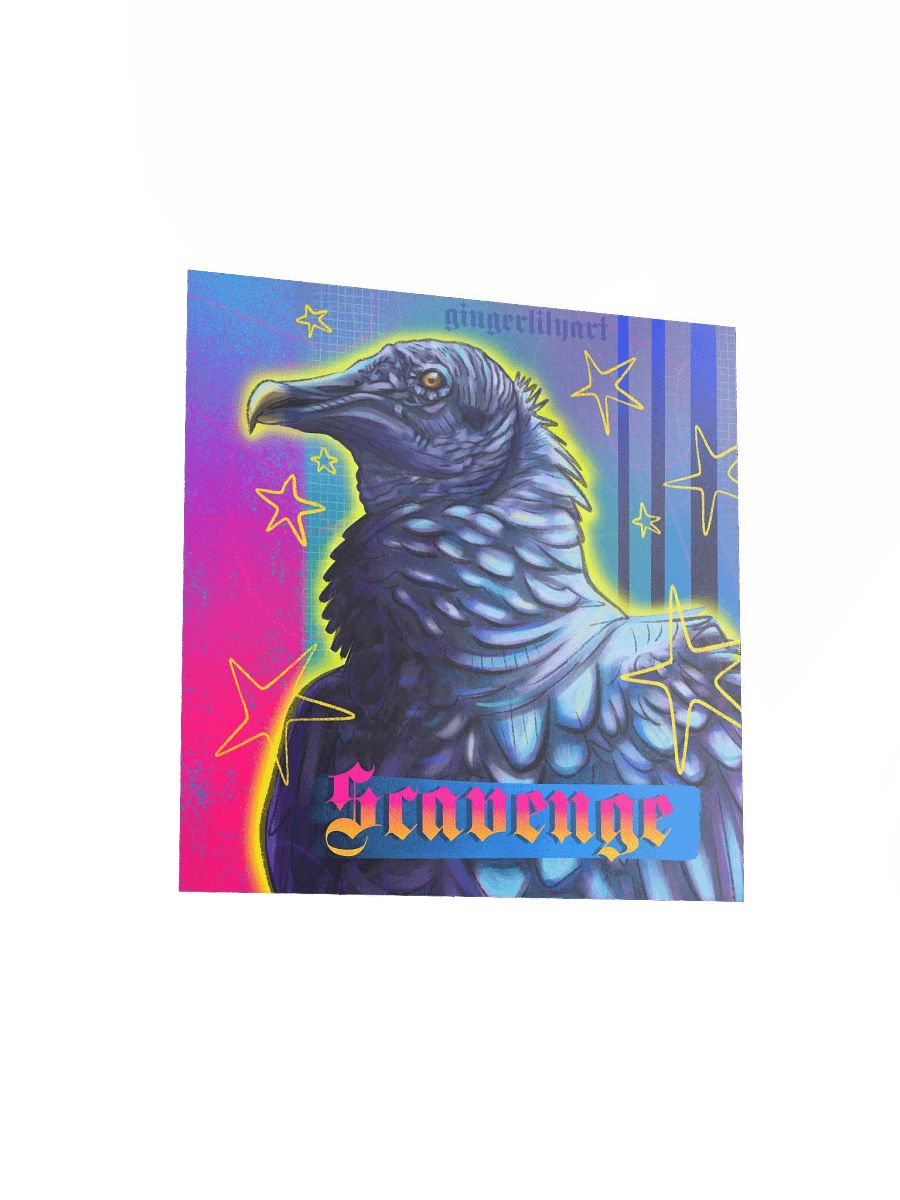 black vulture product image (7)