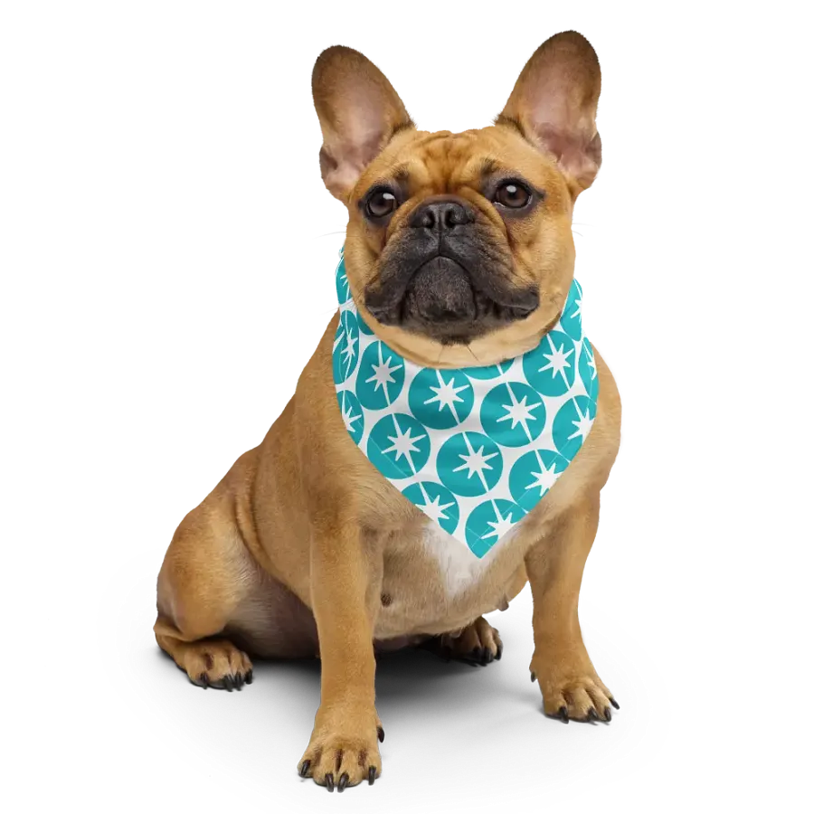 Bandana / Scarf product image (6)