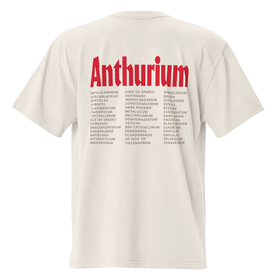 ⚡️ ANTHURIUM WORLD TOUR ⚡️ oversized tee product image (3)