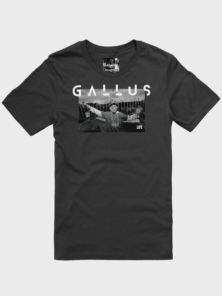 Gallus 2025 Life Collection product image (7)