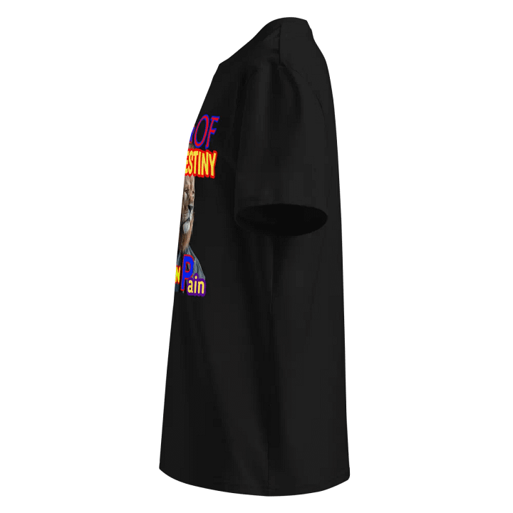 Destiny's Gatekeeper Lion Cape T-Shirt product image (9)