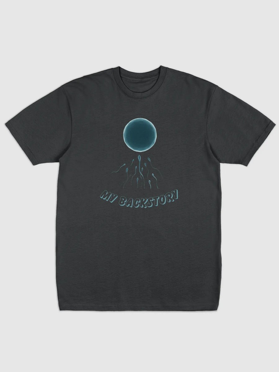 My Backstory Men's Premium Heavyweight Tee product image (1)