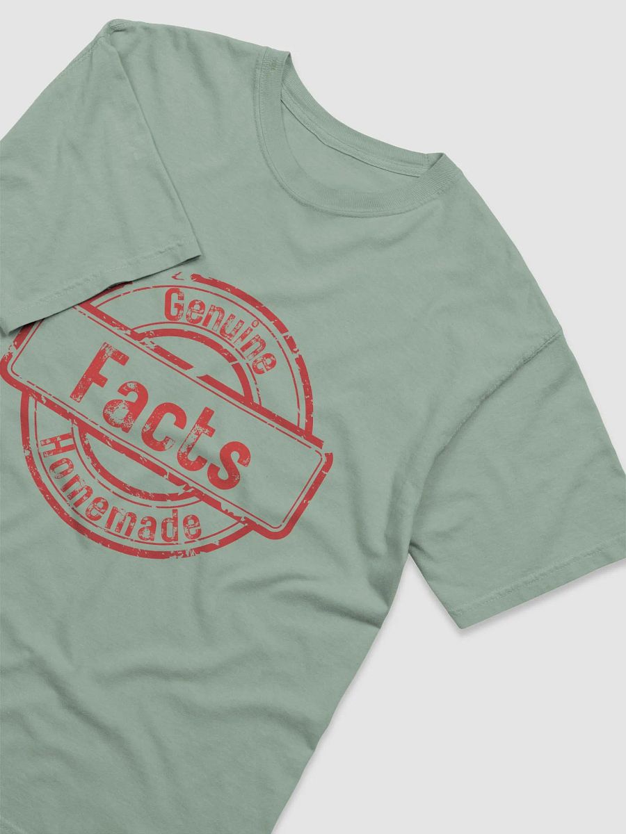 ETHANBOMB - FACTS T-SHIRT product image (42)