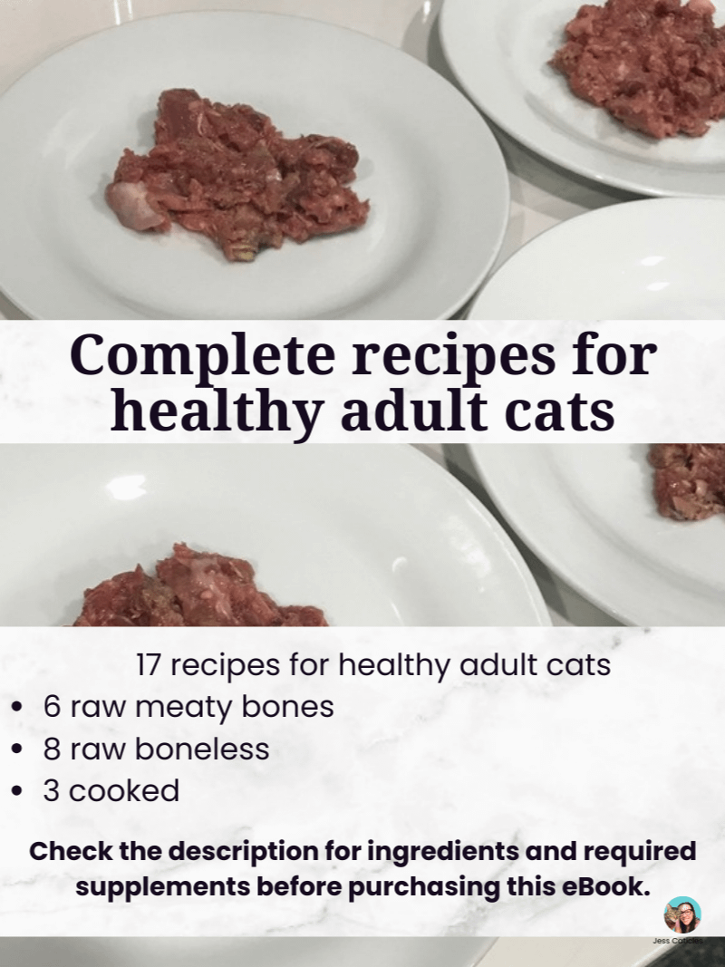 Fresh Cat Food Recipes eBook ~ Raw and Cooked Meals for Adult Cats product image (2)