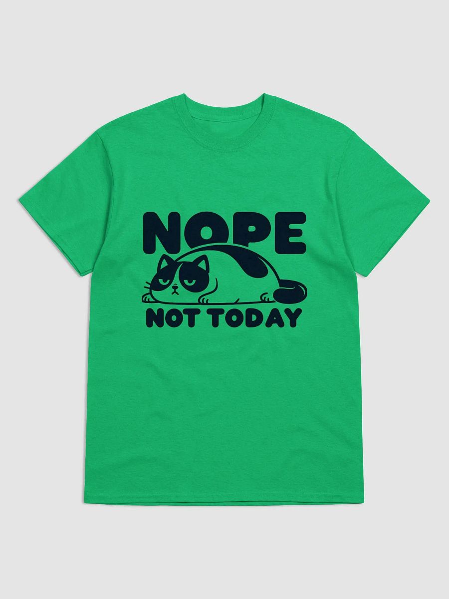 Nope Not Today product image (6)