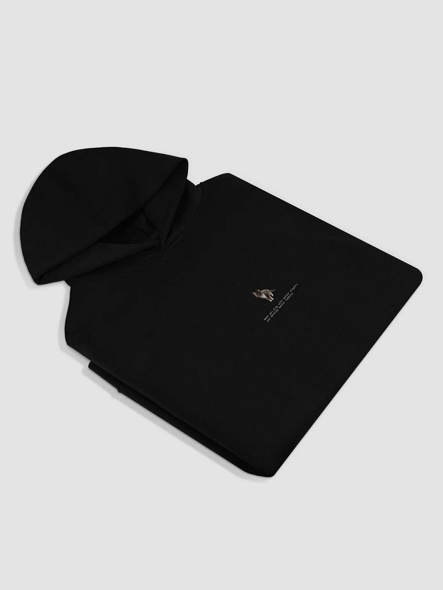 Better players hoodie product image (4)