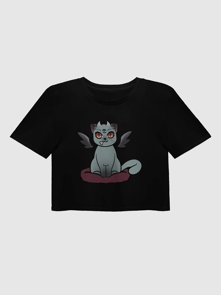 Cat Kay Crop Top product image (1)