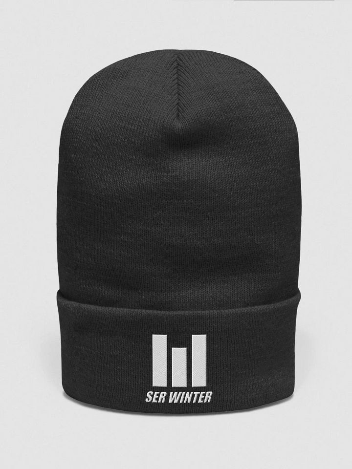 Classic Logo Beanie product image (1)