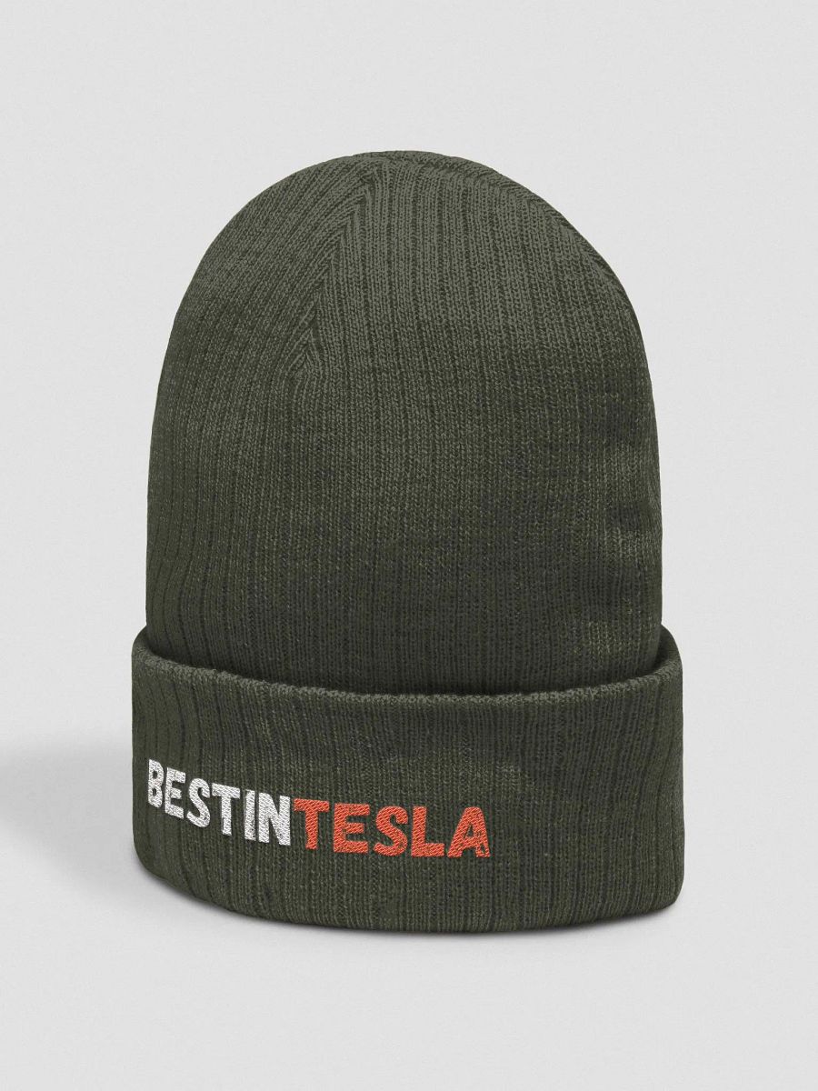 BestInTESLA Atlantis Recycled Cuffed Beanie product image (3)