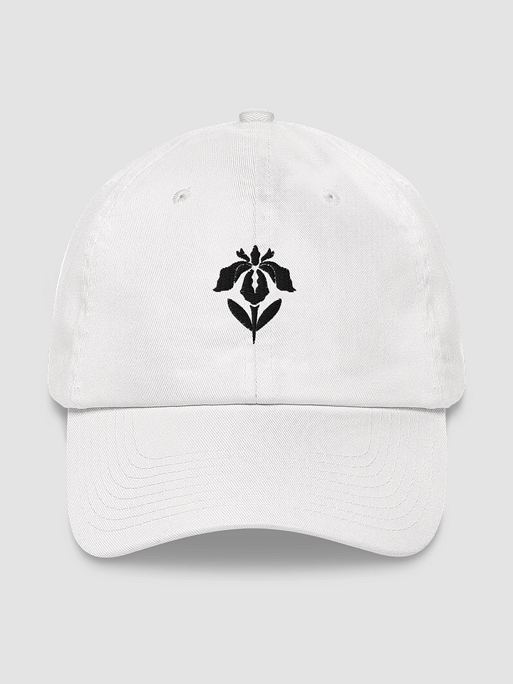 Embroidered Classic Dad Hat product image (2)