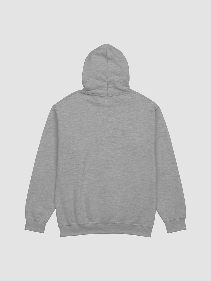 BUIII: Camp More, Worry Less Hoodie product image (9)