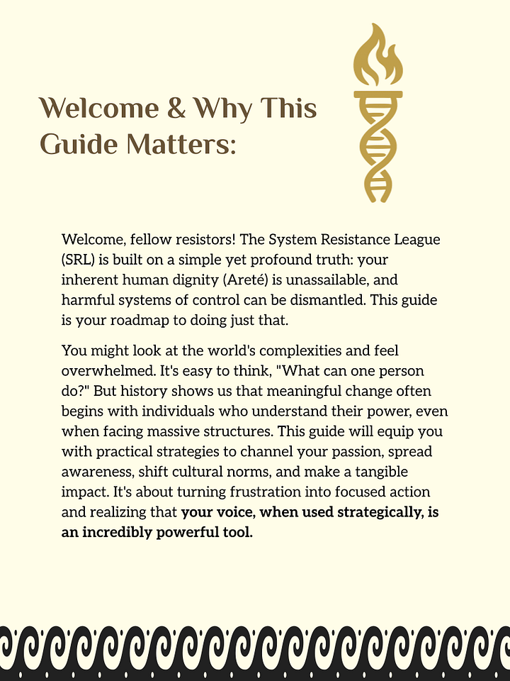 The SRL Guide to Effective Advocacy product image (2)
