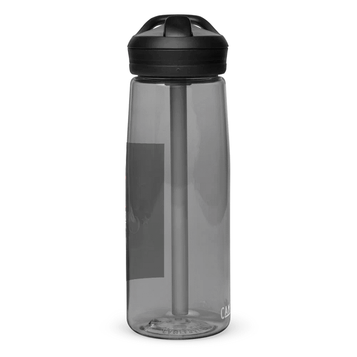 Festive Forever Santa Hat Water Bottle product image (2)