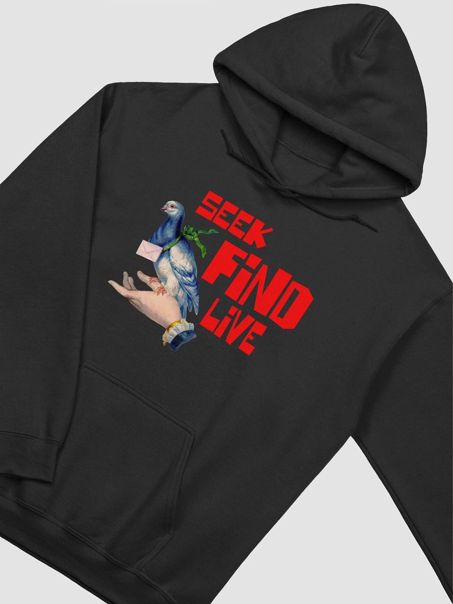 Seek Find Live Retro Style Hoodies product image (3)