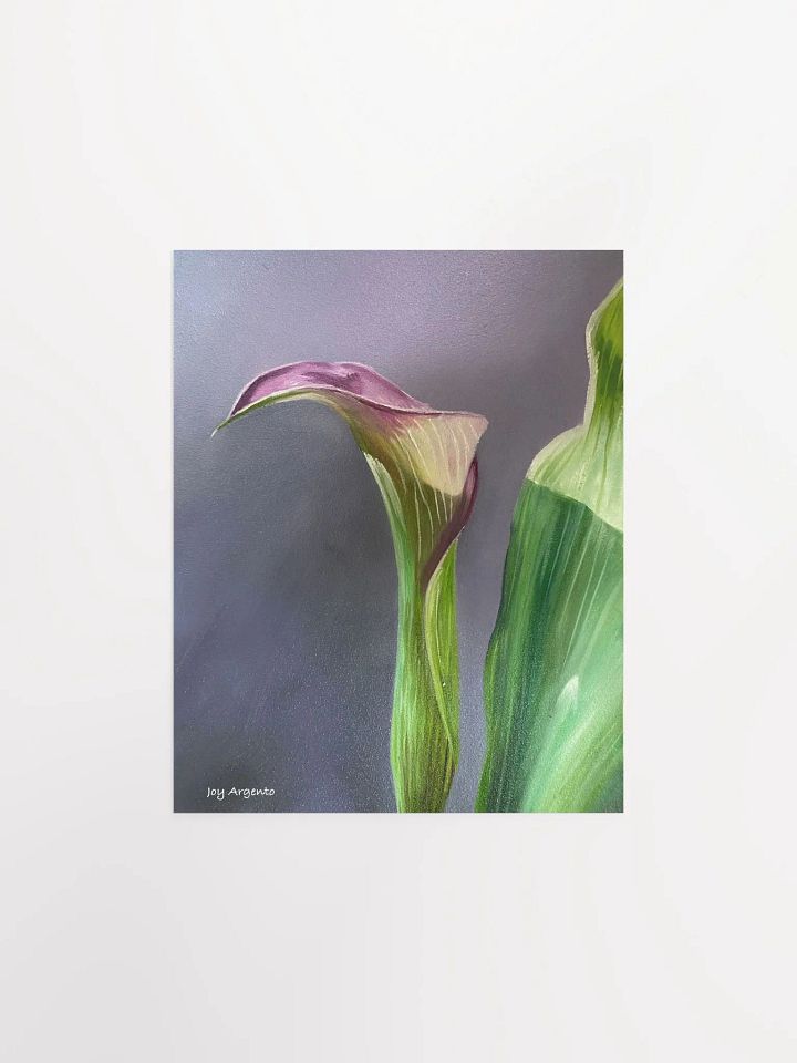 Calla Lily Print product image (1)