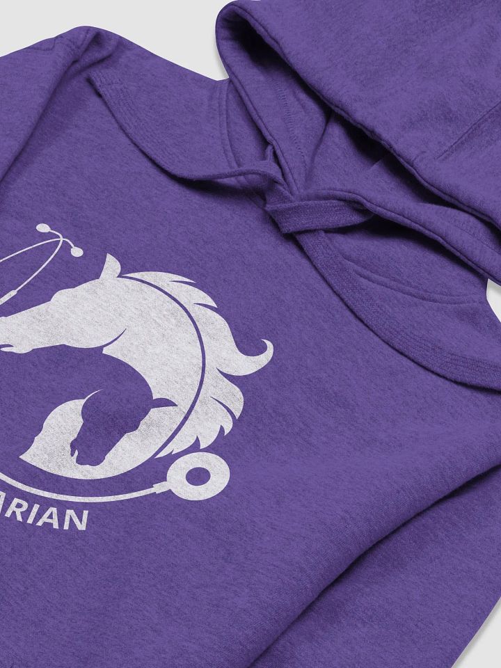 "Equine veterinarian" Hoodie product image (2)