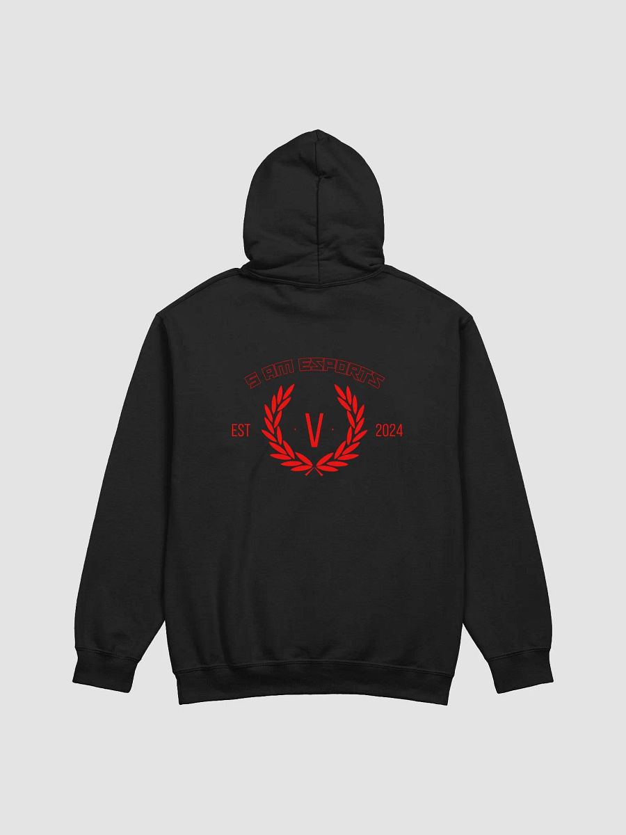 5AM eSports Wraith Hoodie product image (3)