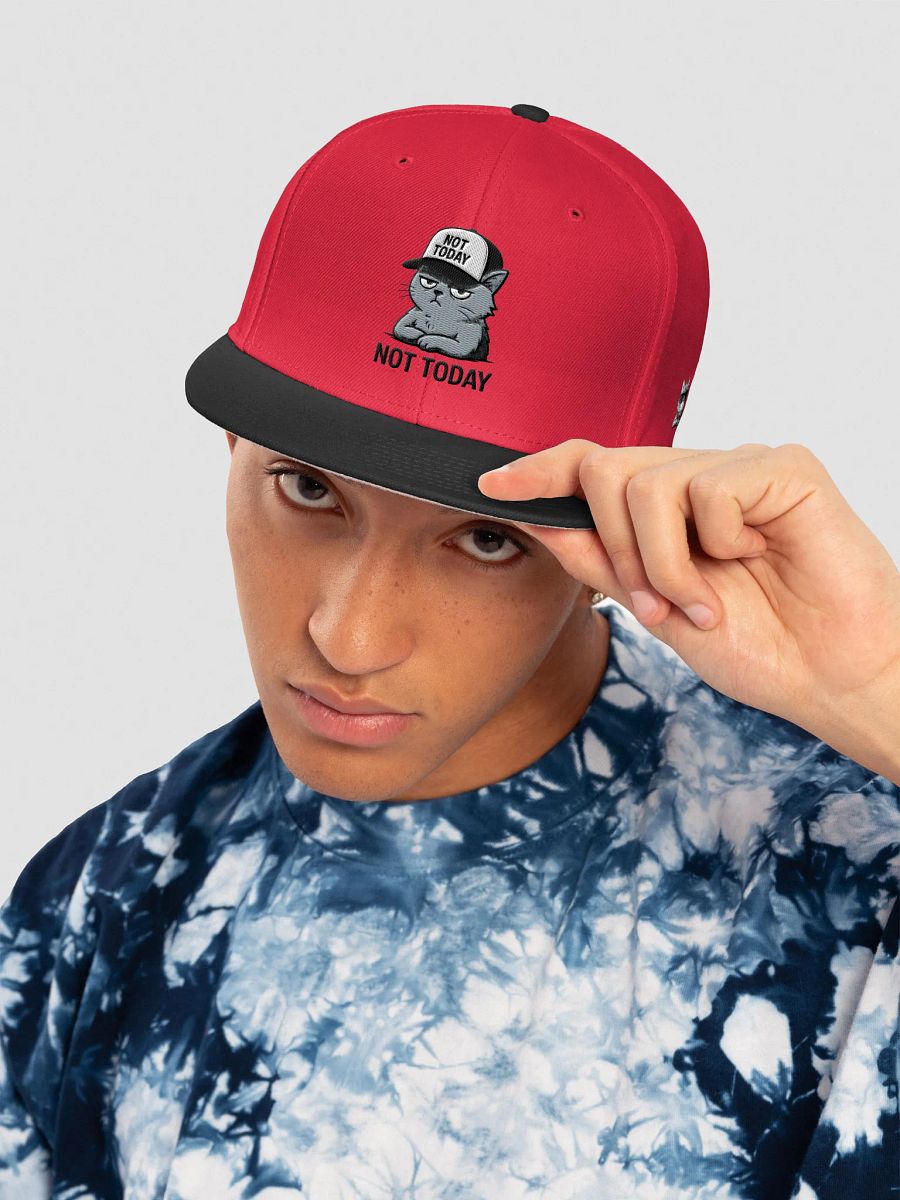 Otto Snapback-Cap aus Wollmischung product image (89)