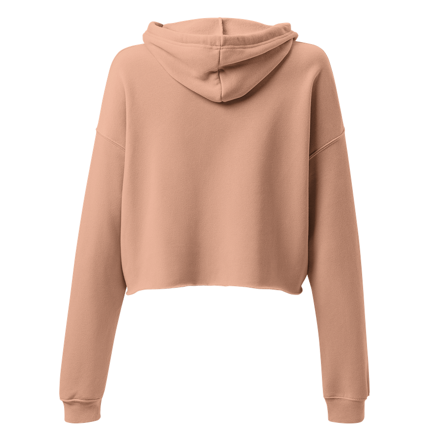 VETA Cropped Hoodie - Peach product image (4)