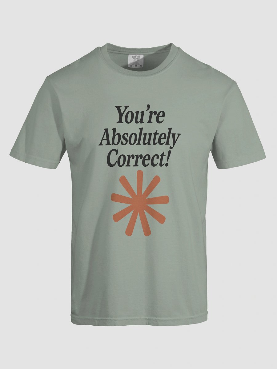 “You’re Absolutely Correct!” - AI Inside-Joke Unisex Tee | Dev & Data Nerd Gift product image (97)