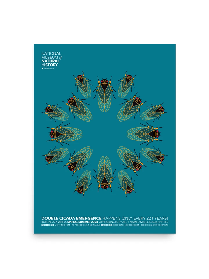 Kaleidoscope Cicadas Poster product image (1)