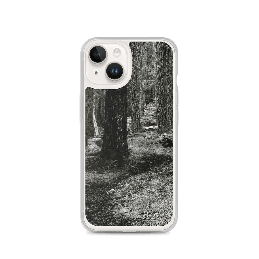 Hiking in the Buckhorn Wilderness iPhone® MagSafe® Case product image (1)