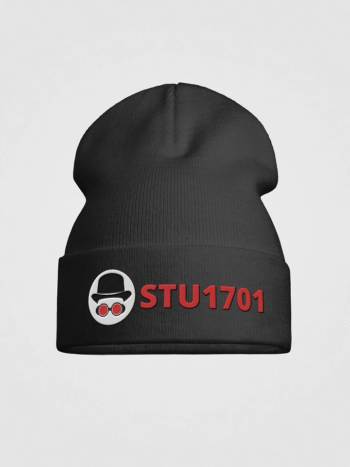 STU1701 Beanie Hat product image (1)