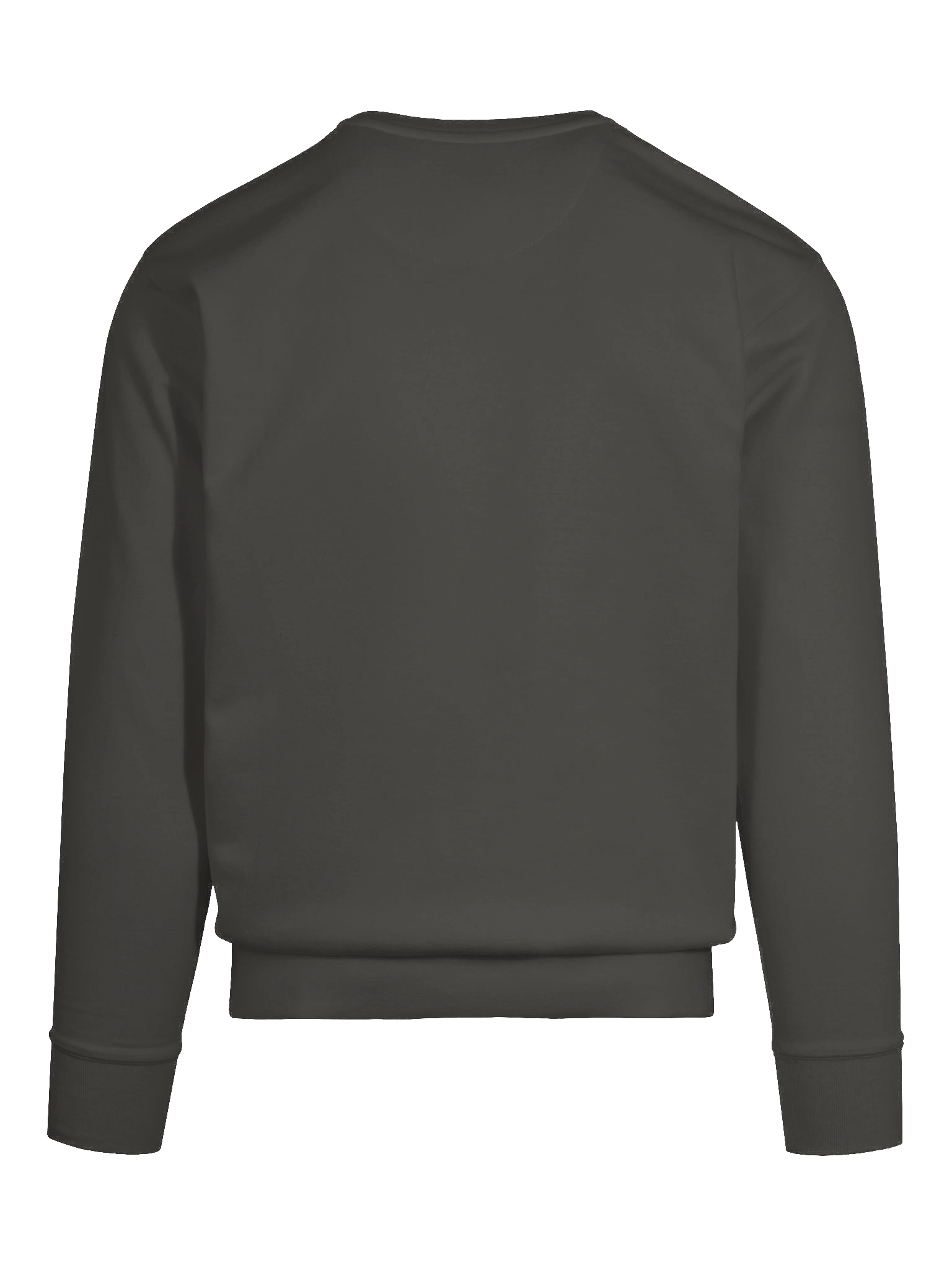 Birthday Bazaar Bonanza Crew Neck product image (64)
