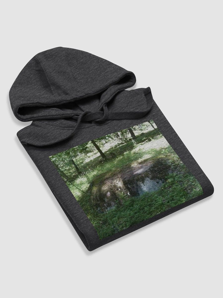 Rimas Zeimys hoodie product image (5)