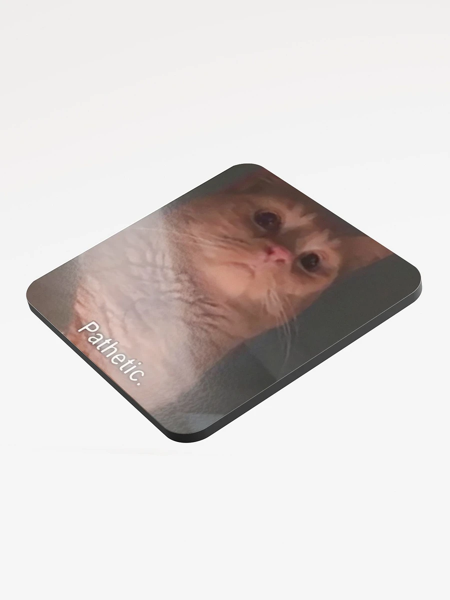 Glossed Cork Coaster: Meme Cats product image (3)