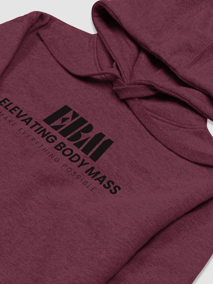 EBM Hoodie (Black Logo) product image (3)
