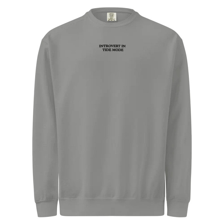 Introvert In Tide Mode Embroidered Sweatshirt product image (2)